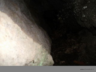 rderia-18-11-2012 12-02-58